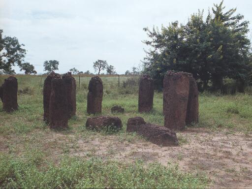Wasu steencirkels