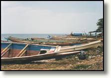 Boats on the beach near Tanji